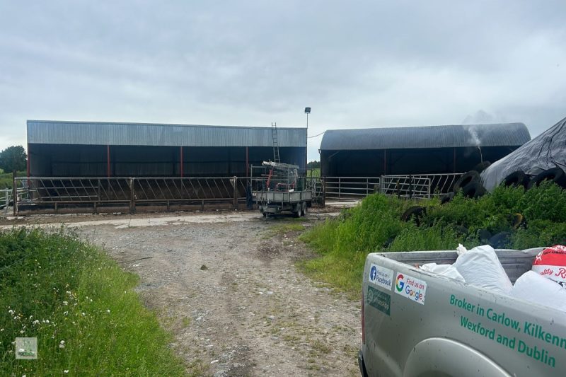 Painting Farm Tinryland