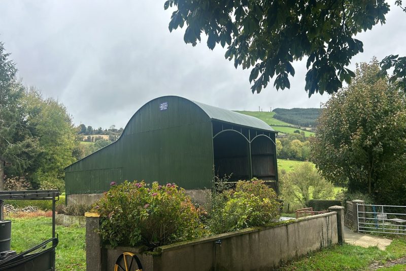 Painting Sheds in Tinryland