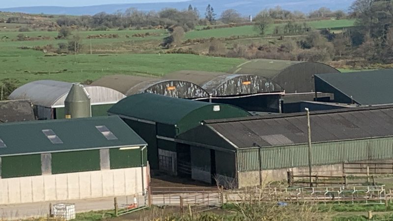 Agricultural building cleaned and painted in Old Leighlin