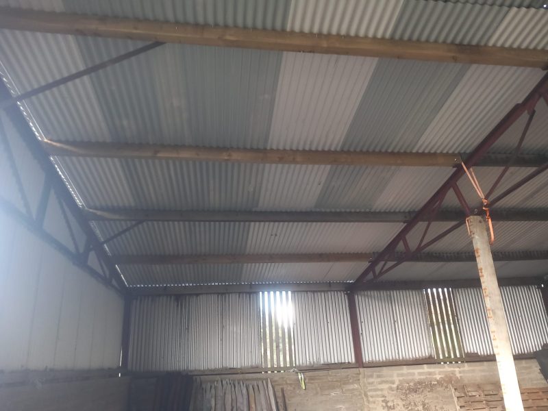 Painting Sheds in Hacketstown