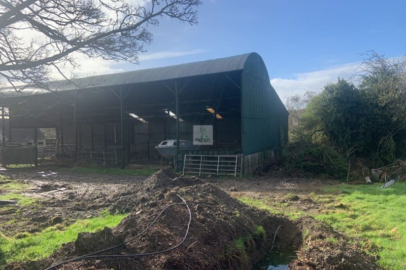 Roof painting and shed spraying in Ballymurphy