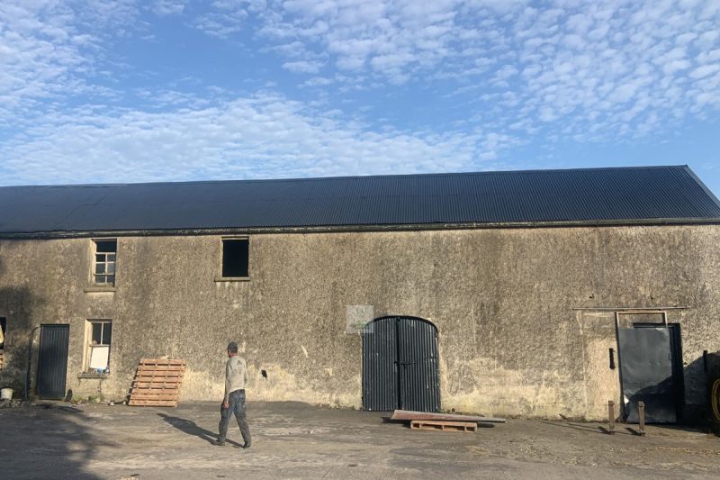 Roof painting and shed spraying in Royal Oak